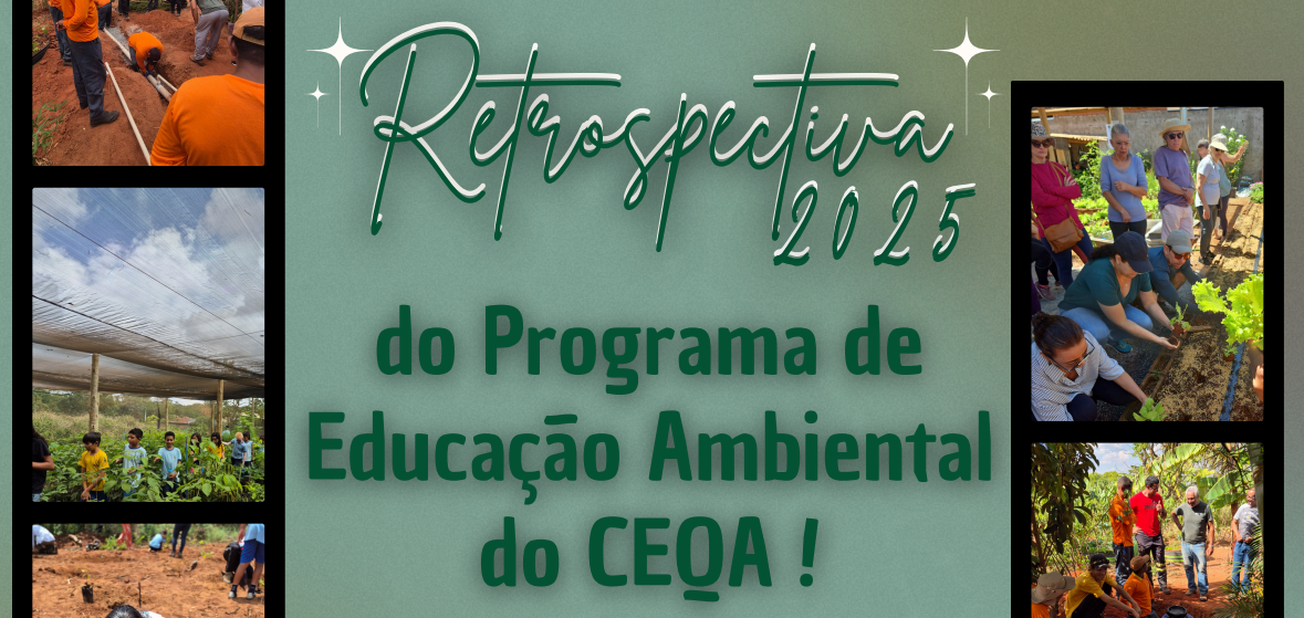 retrospectiva pea2025